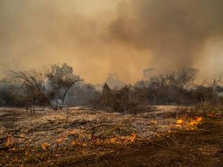 Deel wereld staat in brand en dat is niet goed voor hersenen en longen