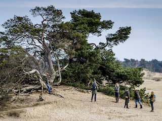Zoveel beschermde natuur heeft Nederland (en de rest van Europa)