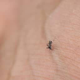 Vrouw uit Amstelveen loopt westnijlvirus op in Nederland