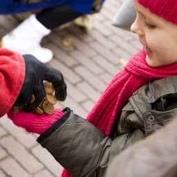 Bibberen tijdens intocht Sinterklaas: gevoelstemperatuur nabij vriespunt