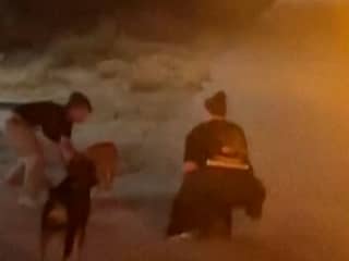 Vrijwilligers redden dieren van bosbrand in Griekenland