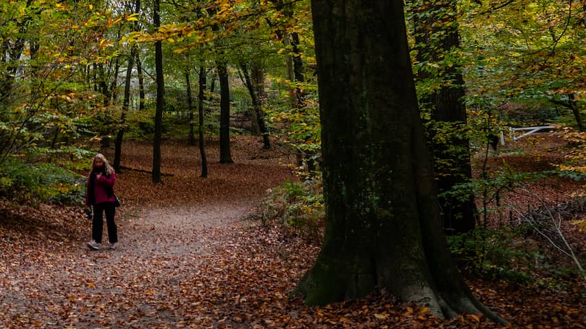 Warm nazomerweer maakt donderdag plaats voor herfstweer
