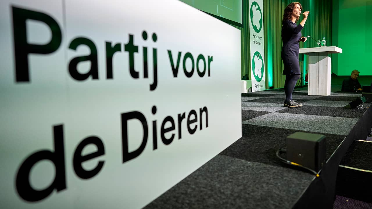 Verkiezingsprogramma: Waar staat de Partij voor de Dieren voor