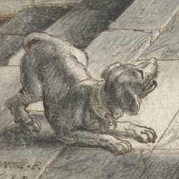 Rembrandt baseerde Nachtwacht-hond op tekening van Adriaen van de Venne