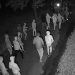 Video | Beveiligingscamera filmt grote groep gewapende mannen in Overasselt