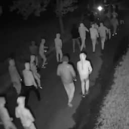 Video | Beveiligingscamera filmt grote groep gewapende mannen in Overasselt