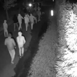 Video | Beveiligingscamera filmt grote groep gewapende mannen in Overasselt