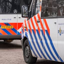Delftenaar (19) opgepakt op verdenking van aanranding en mishandeling