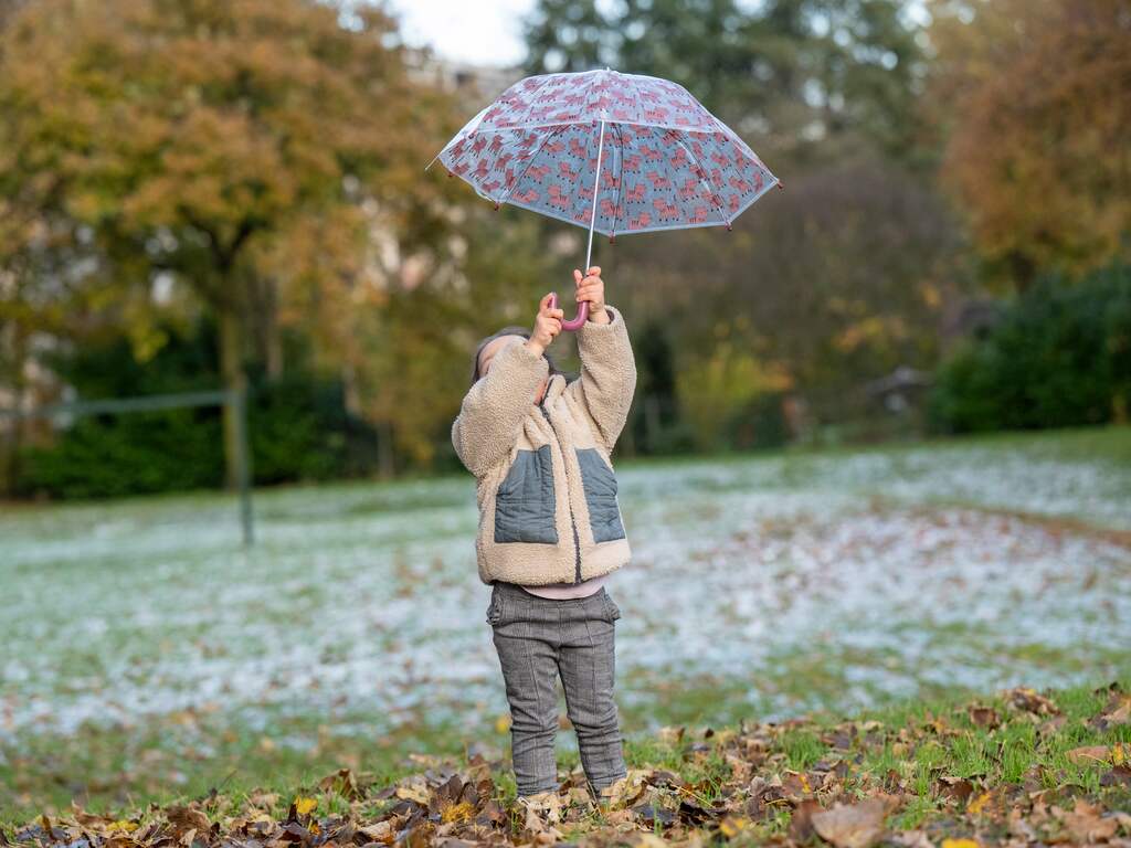 Weekweerbericht | Regen neemt plek van zon in, einde week nog onduidelijk