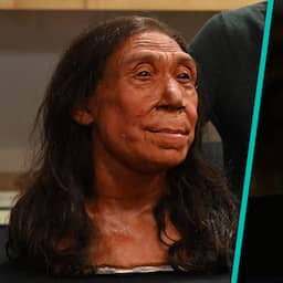 Vrouwelijke Neanderthaler die 75.000 jaar geleden leefde krijgt eindelijk gezicht