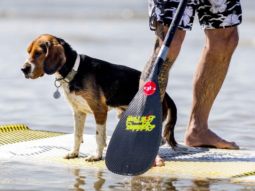 Weekweerbericht: Het blijft nog wat langer perfect terrasweer