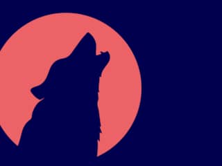 Deel 1: 'Ze rennen voor hun leven'