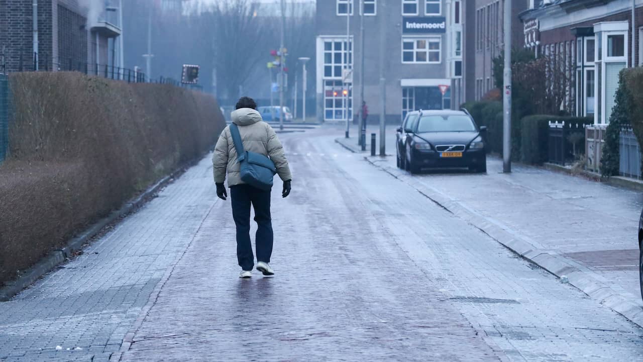 Ondanks dagen vol sneeuw en vorst was het een zachte winter