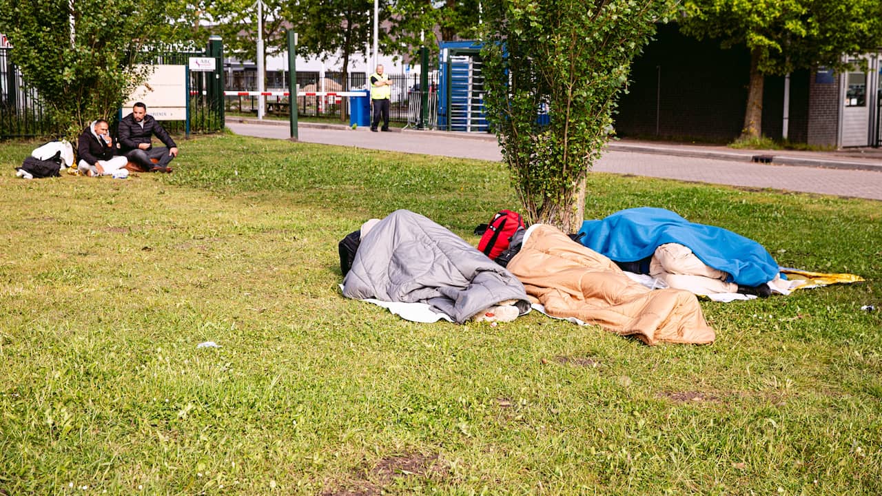 Nog geen oplossing voor vanavond in Ter Apel, asielzoekers liggen in gras