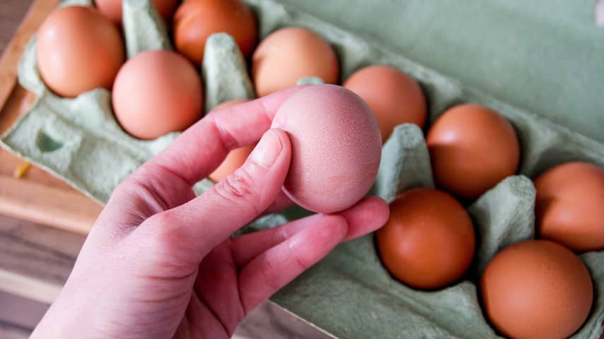 ruim-300-belgen-ziek-door-salmonella-ook-in-nederland-eieren-teruggeroepen.jpg