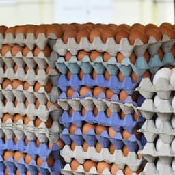 Dode en ruim tweehonderd zieken bij salmonella-uitbraak in Verenigd Koninkrijk