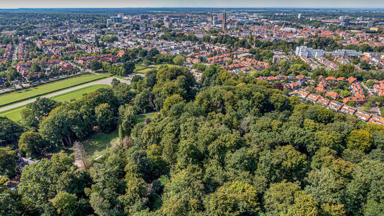 Poppenfestival in Park Randenbroek gaat coronaproof door