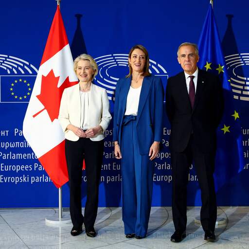 Illustratie bij: Von der Leyen wil Europese Veiligheidsraad en Canada 'associatielid' maken
