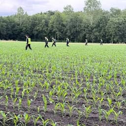 Zoekactie naar vermiste man bij Epe stopgezet wegens zwijnen en wolven in gebied
