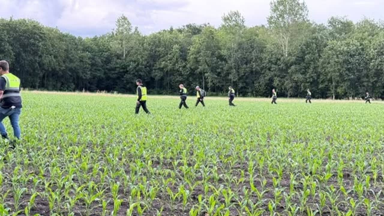 Zoekactie naar vermiste man bij Epe stopgezet vanwege wolven in gebied