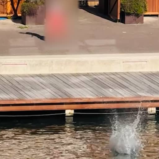 Illustratie bij: Video | Nieuwe beelden tonen hoe verdachte pistool in water gooit in Amsterdam