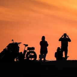 Mezen en duiven verstopten zich tijdens zonsverduistering van afgelopen week