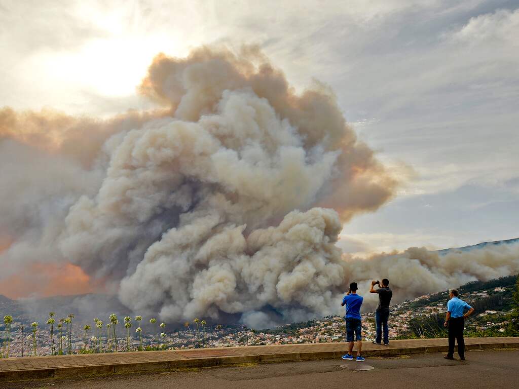 Meerdere personen zijn omgekomen door bosbranden op het Portugese vakantie-eiland Madeira.