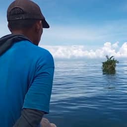 Video | Indonesische vissers vinden piepklein drijvend eiland op zee