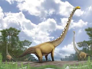 Thaise onderzoekers ontdekken nieuwe dinosoort met nek van twintig meter