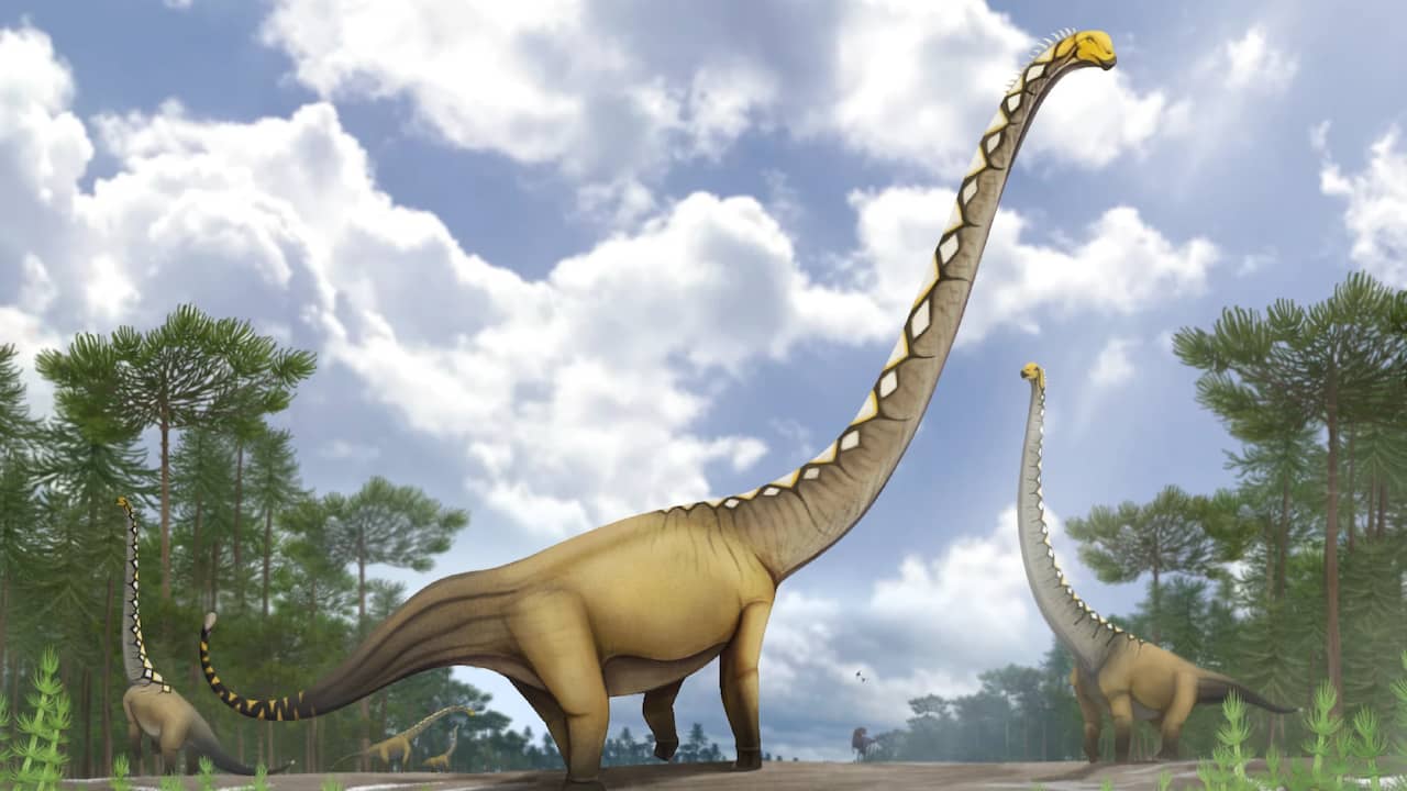 Thaise onderzoekers ontdekken nieuwe dinosoort met nek van twintig meter