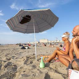 Video | Zwerm bijen strijkt neer onder gloednieuwe parasol in Zandvoort