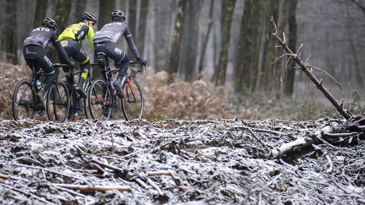 2026 begint met sneeuw in bijna heel het land: 'Vraag is of het blijft liggen'