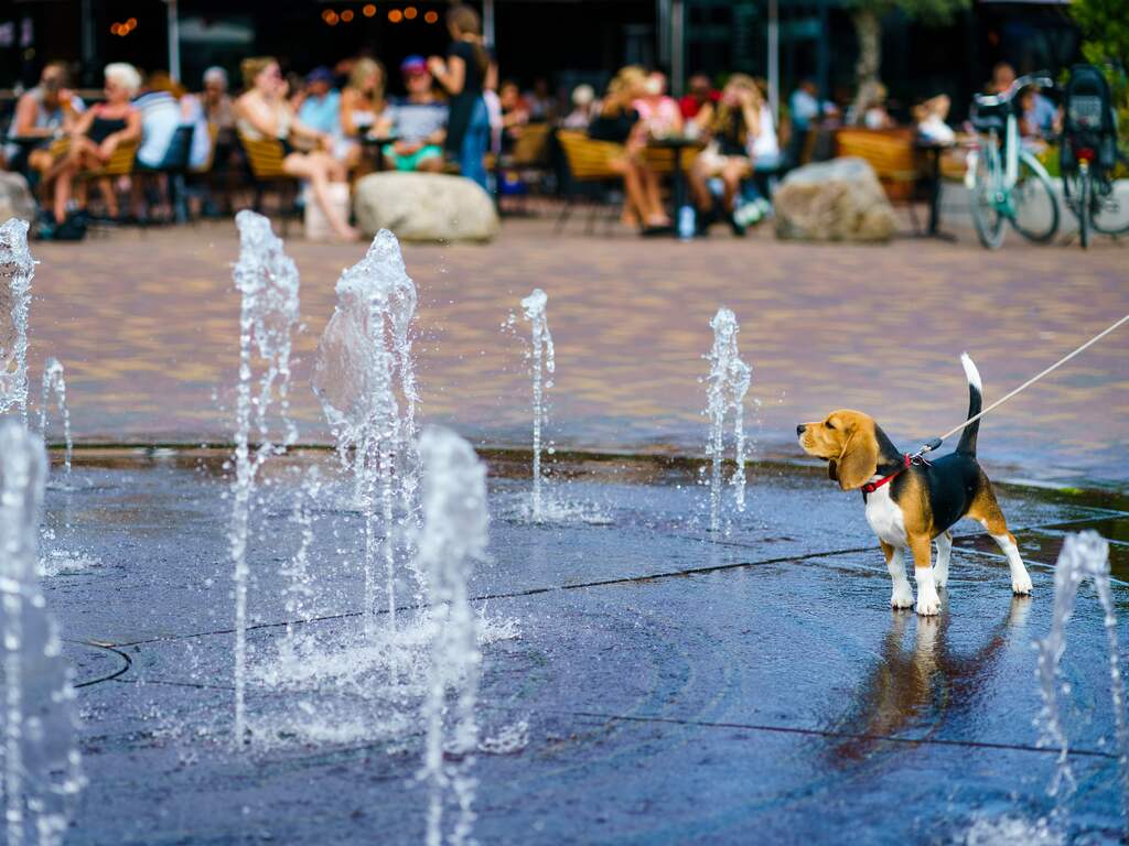 Weekendweerbericht: Kans op eerste plaatselijke zomerse dag van het jaar