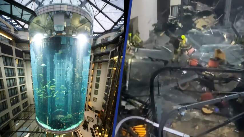 Omstander filmt ravage nadat groot aquarium in hotel barst