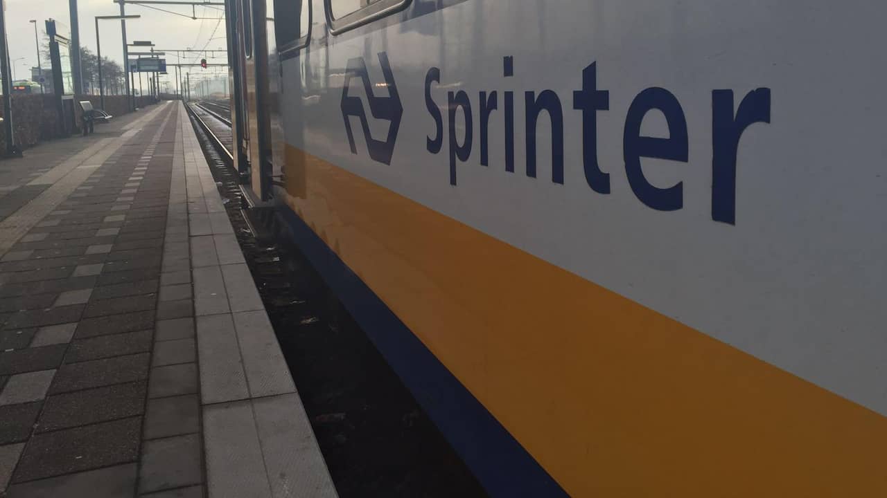 Verzakking spoor Vught kwam door heiwerk, treinen rijden zaterdag weer