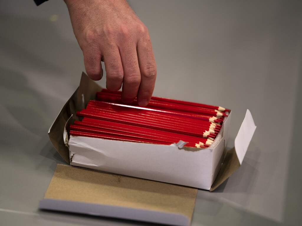 Ook zestien- en zeventienjarigen moeten in België voortaan naar de stembus