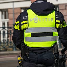 Man (46) opgepakt nadat vrouw in Beinsdorp in bosjes wordt getrokken en verkracht