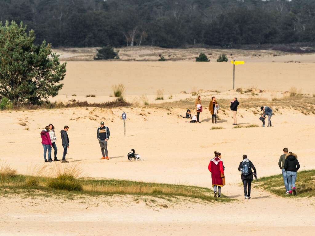Broedende vogels lijden onder te veel honden, ruiters en mountainbikers