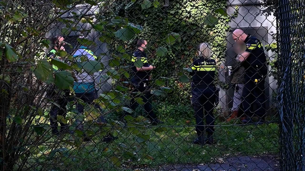 Video | Hulpdiensten zijn aanwezig na panteraanval in Beekse Bergen