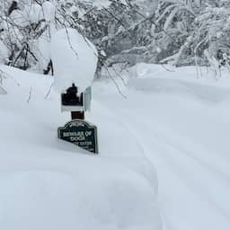 Lichamen van acht skiërs gevonden na een van dodelijkste lawines ooit in VS