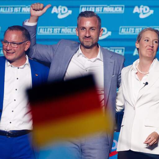 Illustratie bij: Extreemrechtse AfD ligt op koers voor winst bij verkiezingen in Saksen-Anhalt