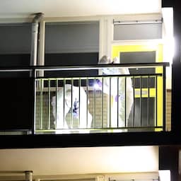 Vrouw (33) uit Sneek die door partner werd neergeschoten is overleden
