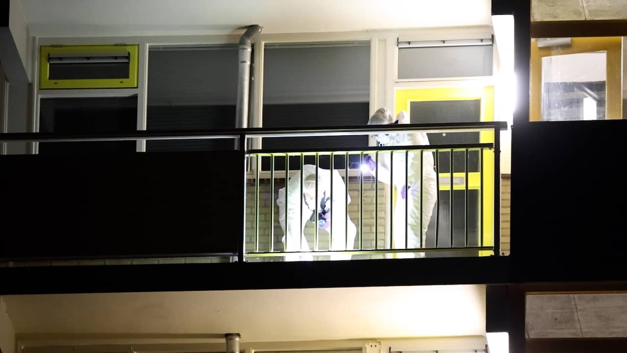 Vrouw (33) uit Sneek die door partner werd neergeschoten is overleden