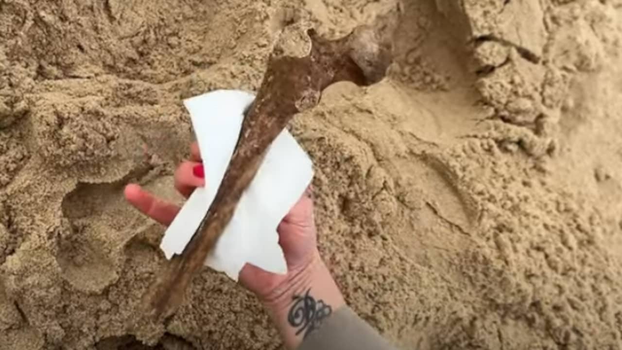 In Schoorl en zee gevonden botten blijken van vermiste Belg en Hagenaar