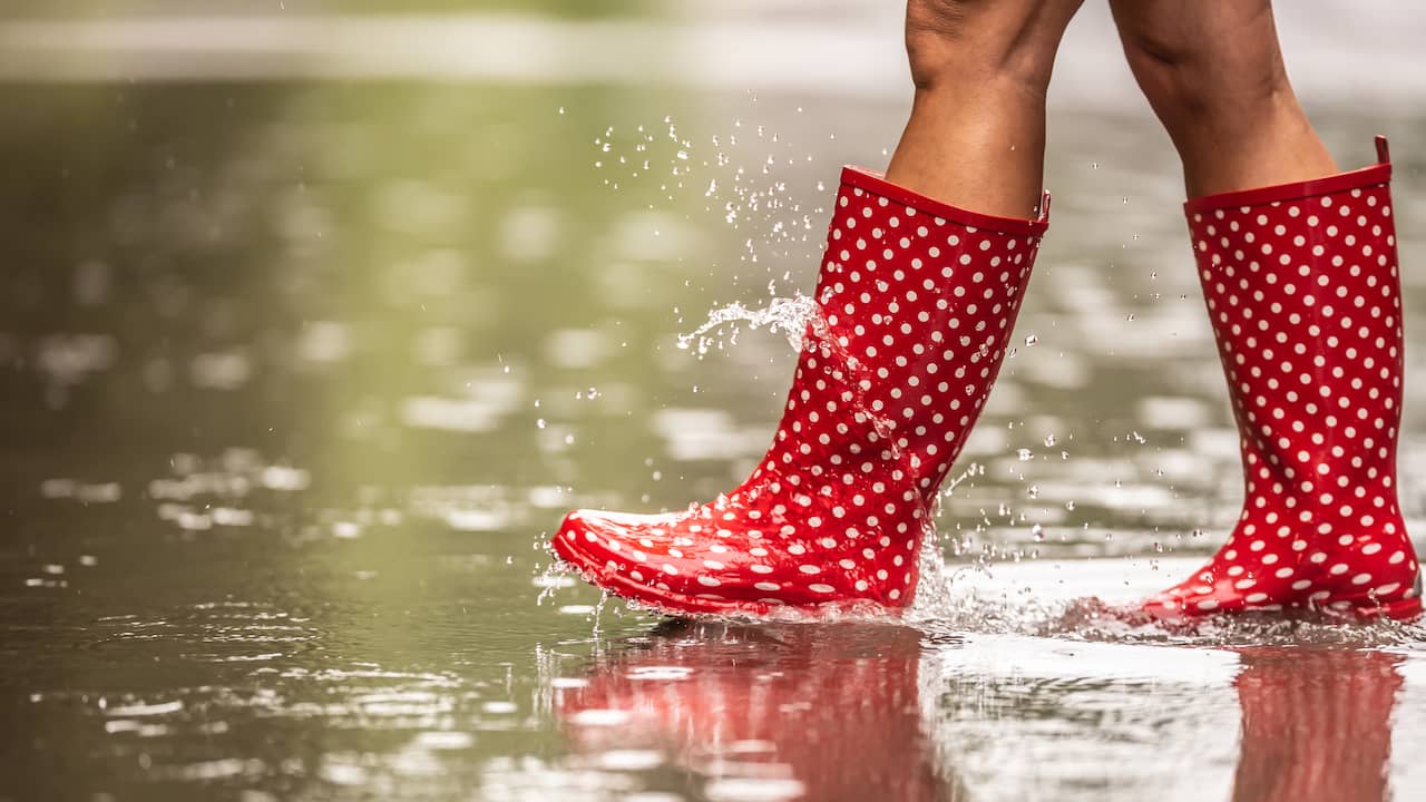 Na Tropische Week Begint Meteorologische Zomer Nat En Wisselvallig na-tropische-week-begint-meteorologische-zomer-nat-en-wisselvallig