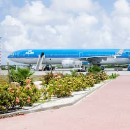 KLM-vliegtuig op Aruba kan niet terug naar Amsterdam door rat aan boord