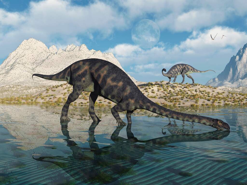 Tienjarig Brits meisje vindt bij toeval pootafdrukken van dinosaurus op strand