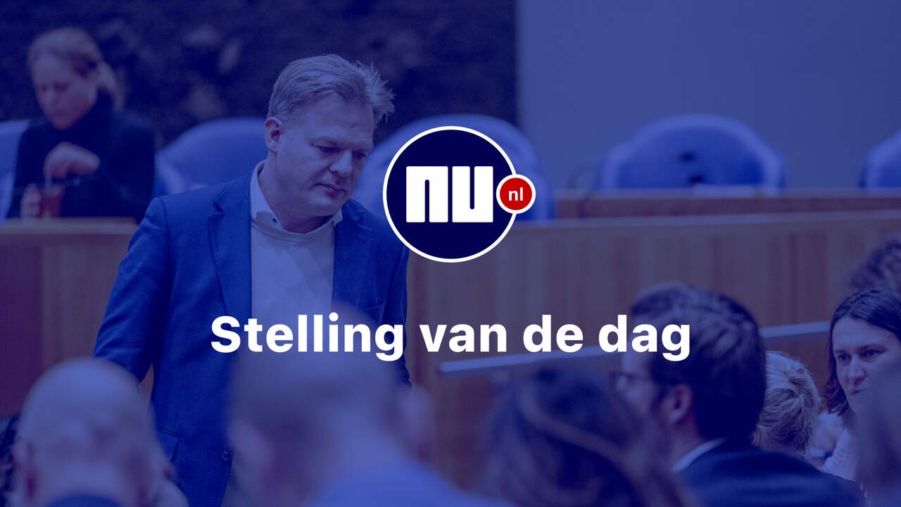 Stelling: Het Nederlandse politieke stelsel functioneert over het