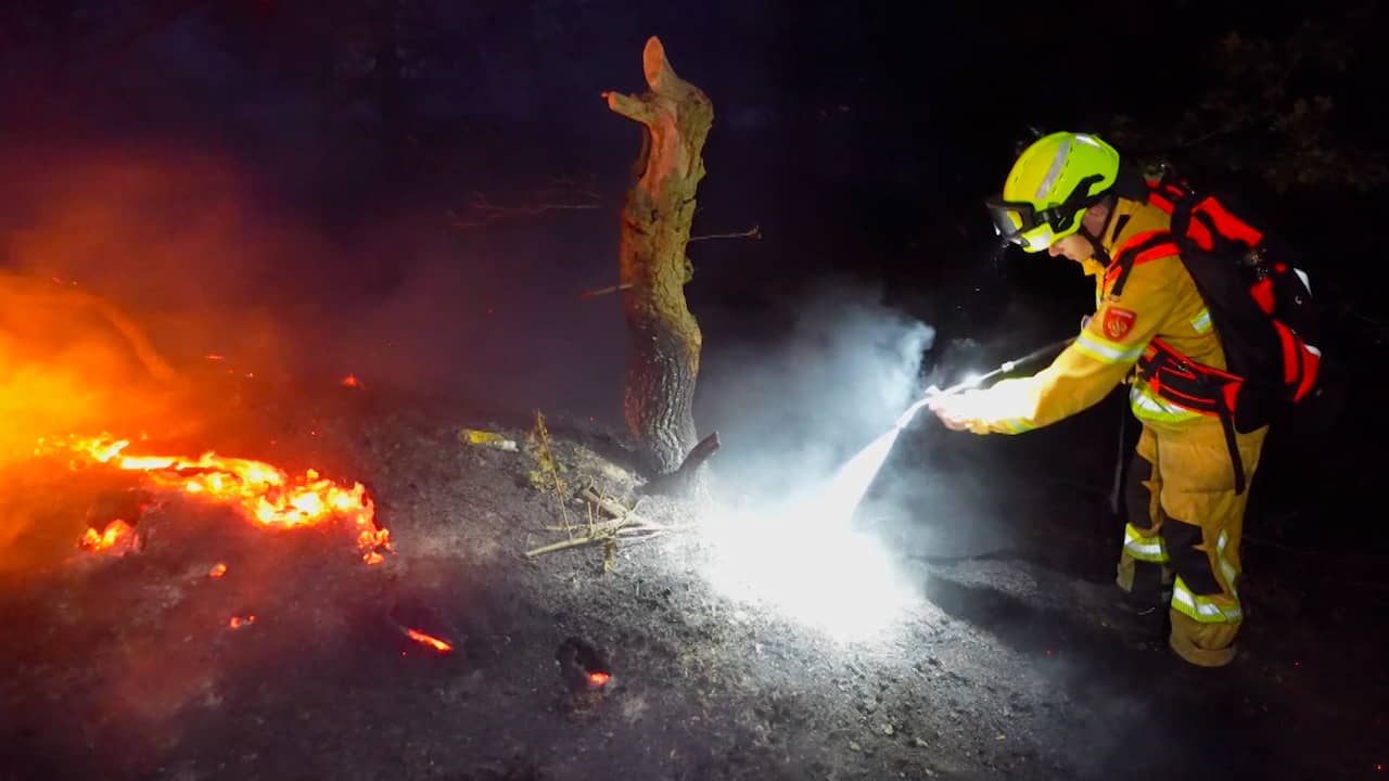 Video | Brandweer blust hele nacht natuurbrand bij Venray