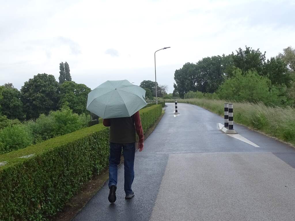 Na extreme droogte gaat het weer regenen: 'Heel erg welkom voor de natuur'